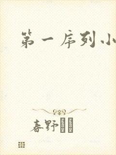 第一序列小说