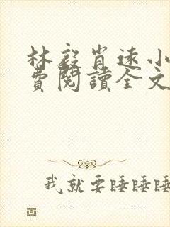 林毅肖远小说免费阅读全文最新章节