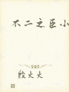 不二之臣小说