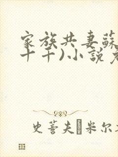 家族共妻苏苏(十千)小说免费