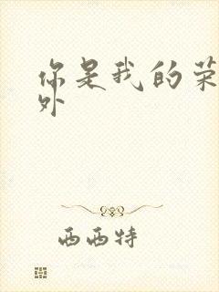 你是我的荣耀番外