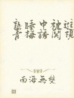 熟睡中被进了H青梅诱哄视频