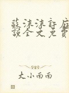 苏沫沫许庭川小说全文免费阅读