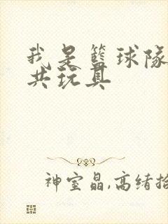 我是篮球队的公共玩具