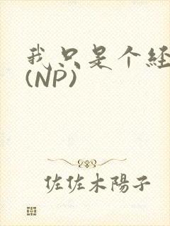 我只是个经纪人(NP)