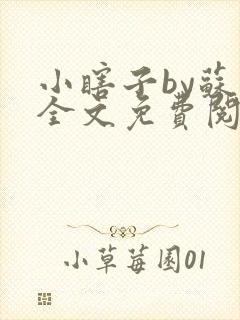 小瞎子by苏软全文免费阅读