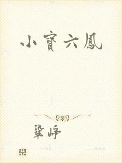小宝六凤