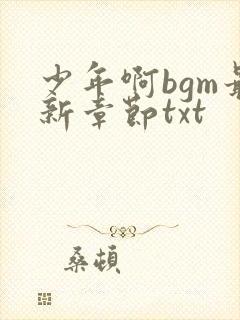 少年啊bgm最新章节txt