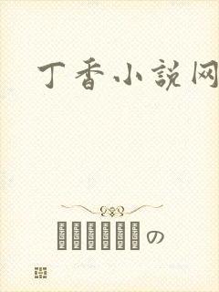 丁香小说网