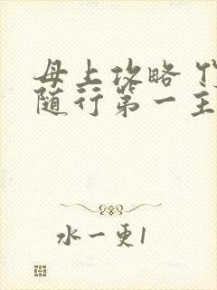 母上攻略 竹影随行第一主板