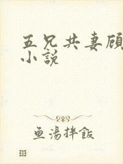 五兄共妻顾心儿小说