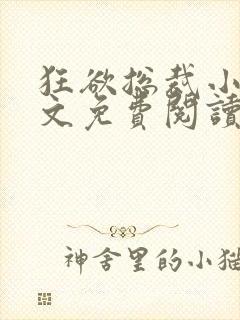 狂欲总裁小说全文免费阅读