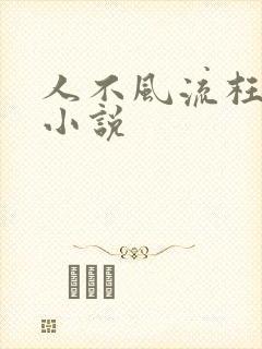 人不风流枉少年小说