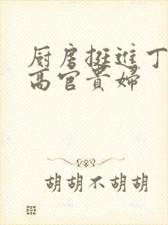 厨房挺进丁字裤高官贵妇