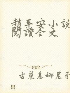 赵平安小说免费阅读全文