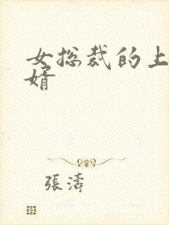 女总裁的上门女婿