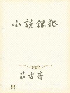 小说银狐