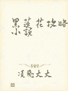 黑莲花攻略手册小说