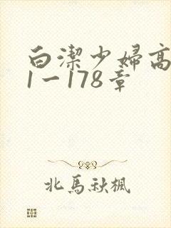 白洁少妇高义第1一178章