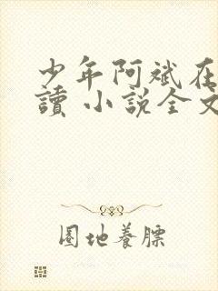 少年阿斌在线阅读 小说全文免费