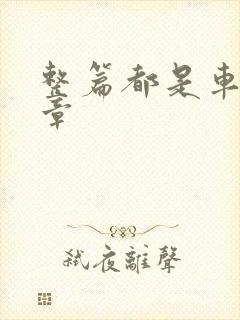 整篇都是车的文章