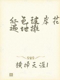 红色彼岸花花瓣遍地撒