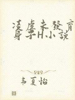凌虐未发育的小身子H小说