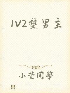 1V2双男主