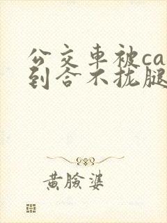 公交车被cao到合不拢腿视频