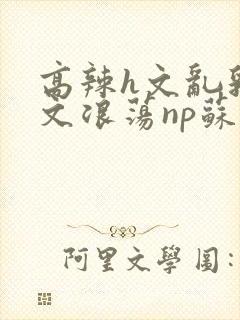 高辣h文乱乳h文浪荡np苏夏