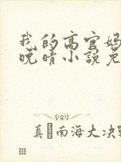 我的高官妈妈苏晚晴小说免费阅读