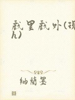 戏里戏外(现场h)