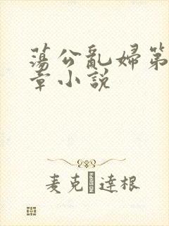 荡公乱妇第51章小说