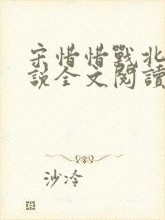 宋惜惜战北望小说全文阅读