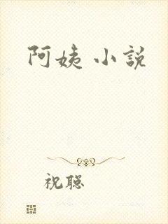 阿姨 小说