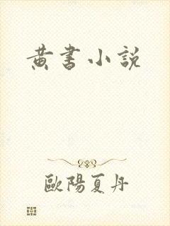 黄书小说