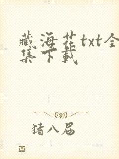 藏海花txt全集下载