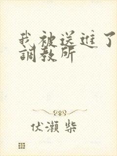 我被送进了私奴调教所