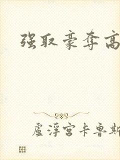 强取豪夺高干文