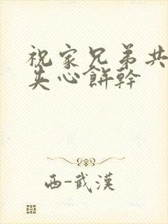 祝家兄弟共享后夹心饼干