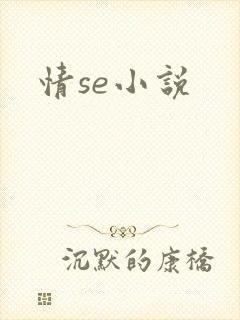 情se小说