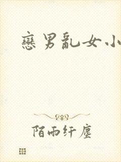 恋男乱女小说
