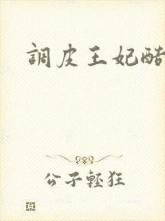 调皮王妃酷王爷