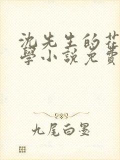 沈先生的花式教学小说免费