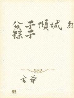 公子倾城 维和粽子