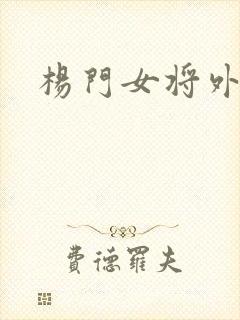 杨门女将外传