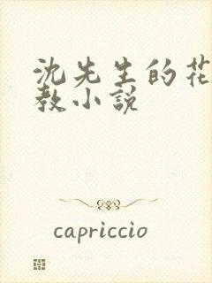 沈先生的花式调教小说