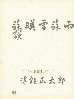 苏映雪苏雨柔小说