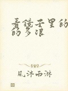 看镜子里的你叫的多浪