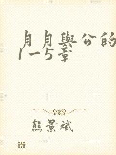 月月与公的激情1一5章